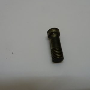 G Gamba Gardone VT hinge screw