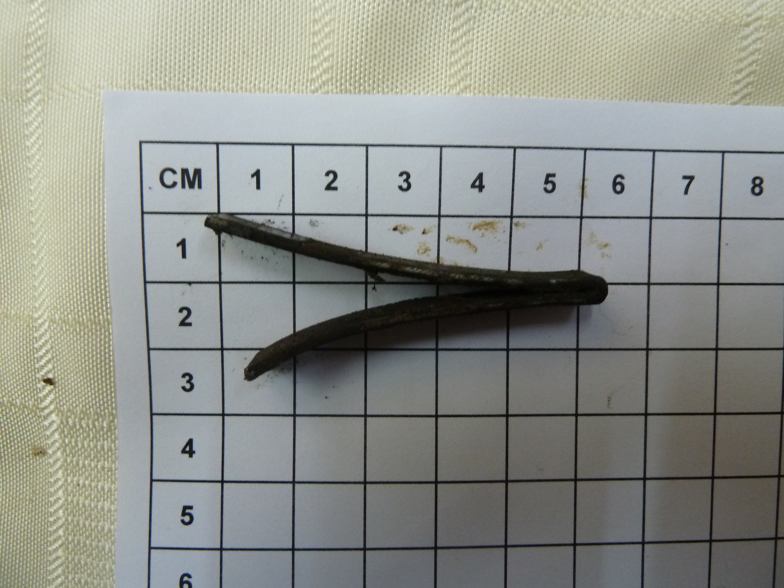 Belgian 410 s/b V spring