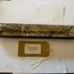 Webley 810 camo forend