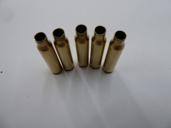 .223 rem Brass Cases