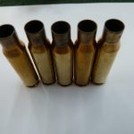 .308 RWS brass cases (2)