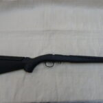 Ruger American .17HMR stock