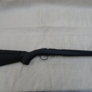 Ruger American .17HMR stock