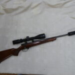 CZ .17 Hornet bolt action rifle