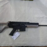 Anschutz MSR RX22 .22RF Rifle