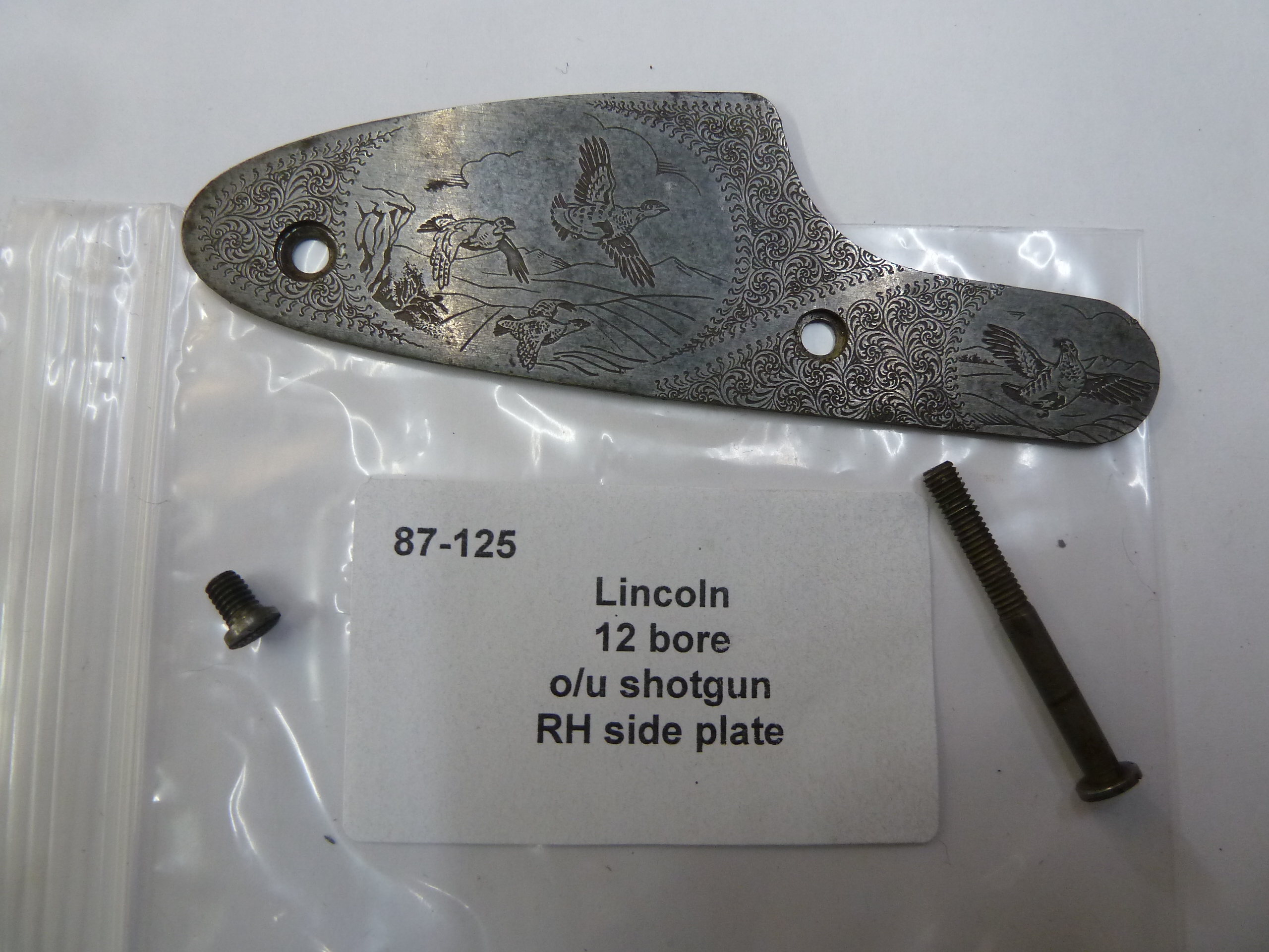 Lincoln 12 bore shotgun sideplate
